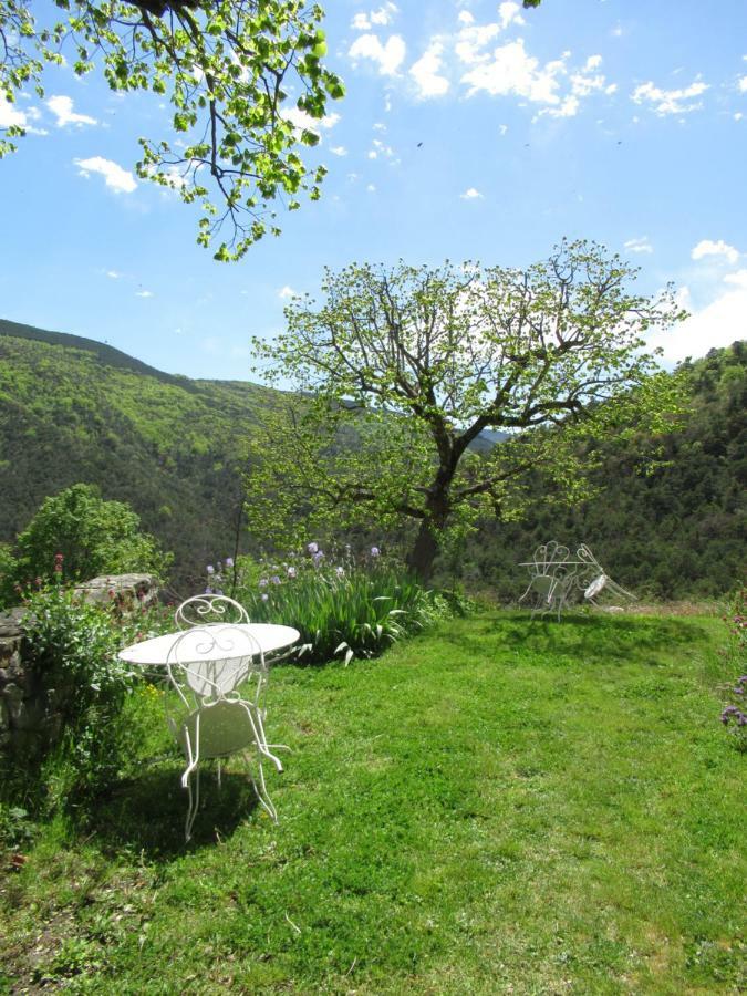 La Ferme De La Condamine Bed & Breakfast Saint-André-de-Rosans Екстериор снимка