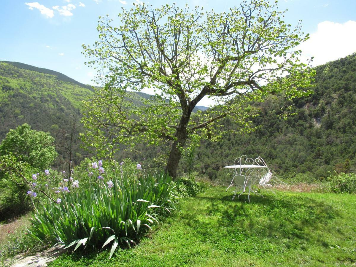 La Ferme De La Condamine Bed & Breakfast Saint-André-de-Rosans Екстериор снимка