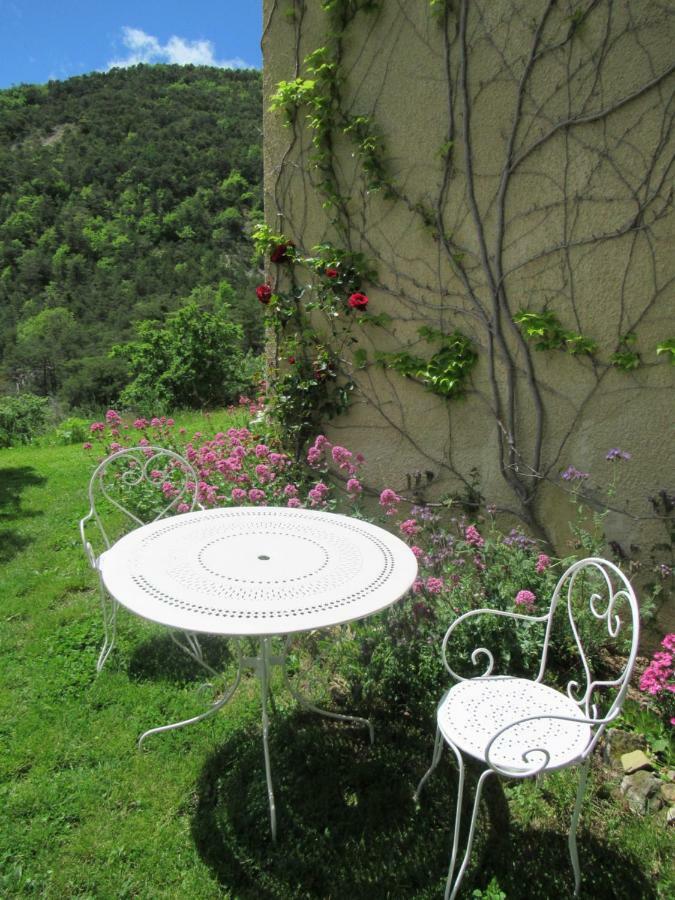 La Ferme De La Condamine Bed & Breakfast Saint-André-de-Rosans Екстериор снимка