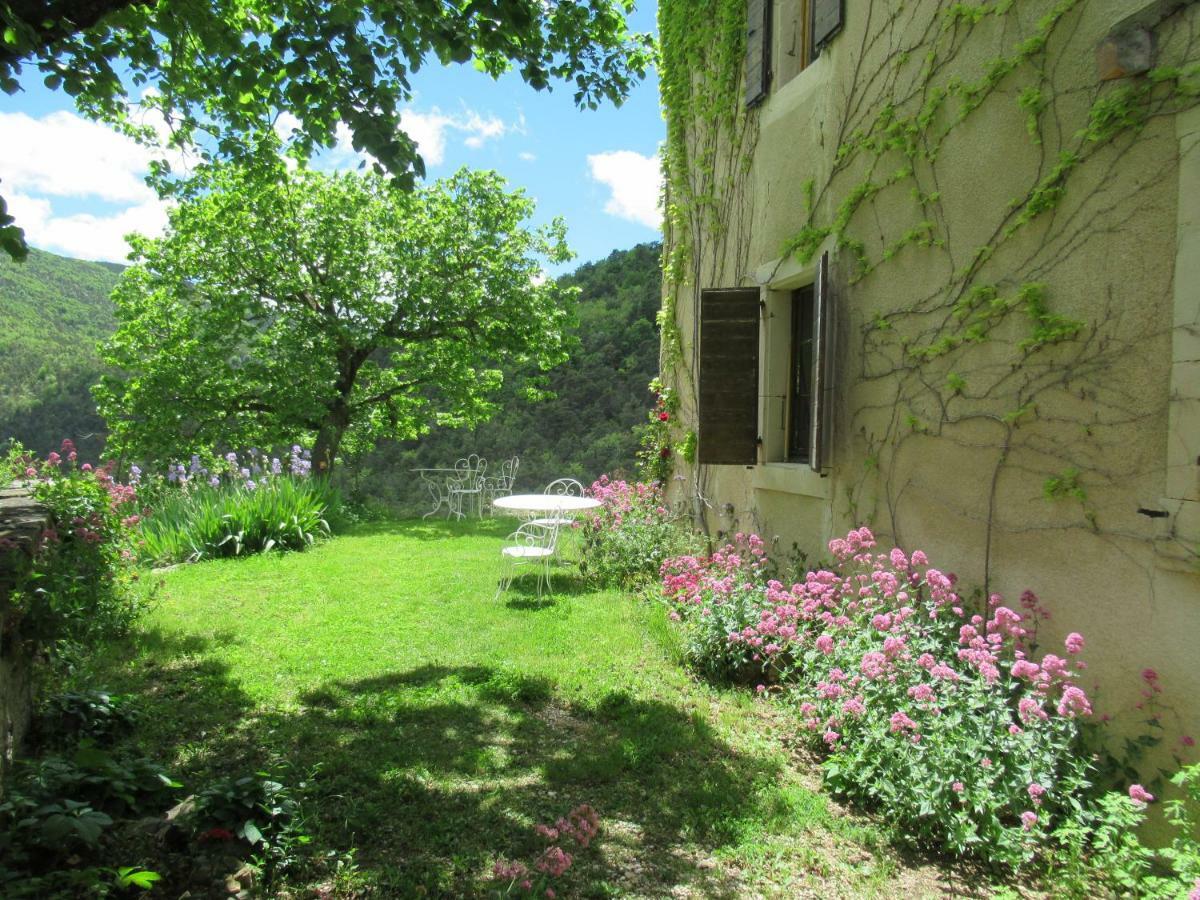 La Ferme De La Condamine Bed & Breakfast Saint-André-de-Rosans Екстериор снимка